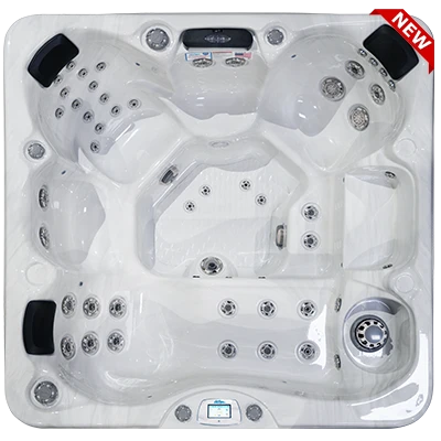 Avalon-X EC-849LX hot tubs for sale in Boca Raton